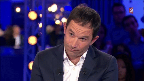 benoit hamon GIF by franceinfo