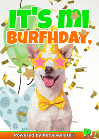 PetJuvenate happy birthday birthday cake funny dog puppy love GIF