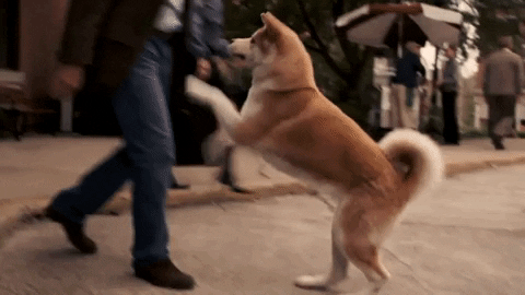 marie-adelecopin giphygifmaker GIF