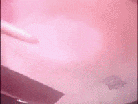Celebrate Yahoo GIF