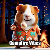 Fire Camping GIF by Guinea Gambino