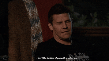 fox GIF by Bones