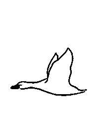 spicealley yum duck sydney yumm Sticker