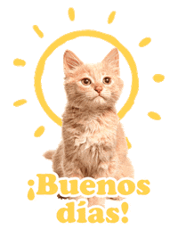 Cat Sun Sticker by Luna Pets