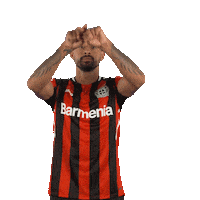 Bayer 04 Goal Sticker by Bayer 04 Leverkusen