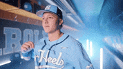 North Carolina Baseball GIF by UNC Tar Heels