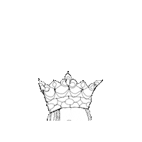 Queen Crown Sticker