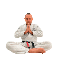 Mma Box Sticker by Alliance Jiu-Jitsu Association
