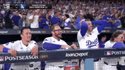 Los Angeles Dodgers Sport GIF by MLB