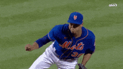 New York Mets Sport GIF by SNY