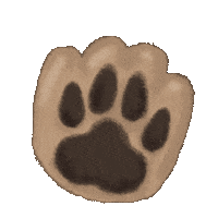 Cat Hello Sticker