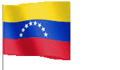 Flag Waving Sticker by PRV Audio