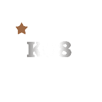 Muhammad Ali Fighting Sticker by World Boxing Super Series