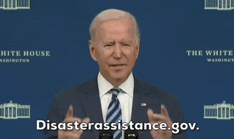 Joe Biden GIF by GIPHY News