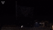 Sport Celebrate GIF by Vanderbilt Athletics