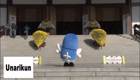 japan fly GIF