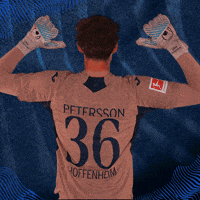 Sport Bundesliga GIF by TSG Hoffenheim
