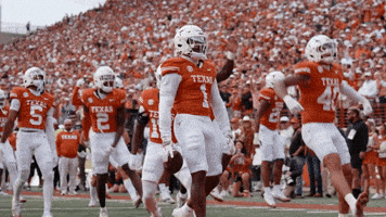 Texas Football Hook Em GIF by Texas Longhorns