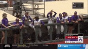 ncaasports ncaa softball tigers lsu GIF