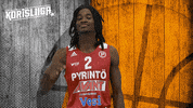 Sport Basketball GIF by Basket_fi