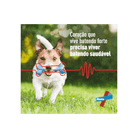 Dog Pet Sticker by Elanco Brasil