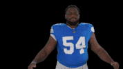 Football Nfl GIF by Detroit Lions