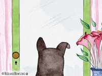dog GIF by Red & Howling