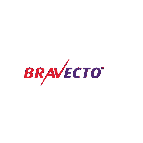 msdfamiliapet giphyupload bravecto Sticker