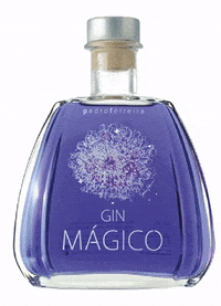 Doreca ginmagico GIF