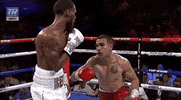 toprank fight boxing fighting espn GIF