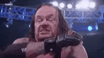 Undertaker GIF by memecandy