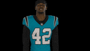 North Carolina Yes GIF by Carolina Panthers