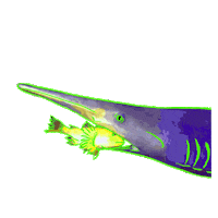 Hungry Discovery Channel Sticker by Shark Week