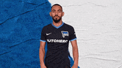 Bundesliga Berlin GIF by Hertha BSC
