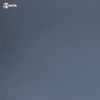 Petra Martic Tennis GIF by WTA