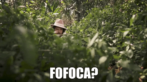 Selva Fofoca GIF by Porta Dos Fundos