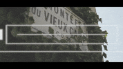 Sport GIF by W Series