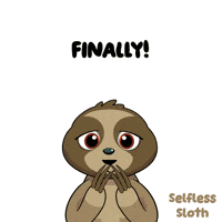 We Did It Sloth GIF by VeeFriends