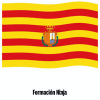 Comunidad Valenciana Flag GIF by Formación Ninja