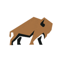 Construction Repair Sticker by ROAM Roof & Solar