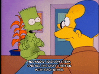 Season 1 GIF by The Simpsons