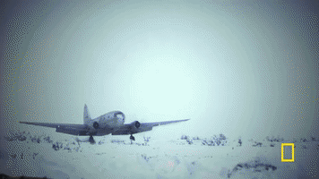 GIF by National Geographic Channel