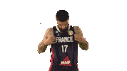 France Game Sticker by FIBA
