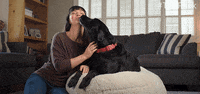 The Pack Dog GIF by Amazon Prime Video