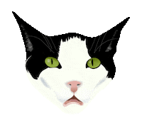 Mood Cats Sticker by Green Child Magazine