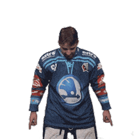 Hockey Swipe Up Sticker by HC Škoda Plzeň