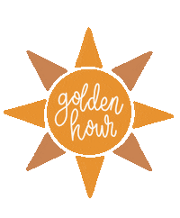 Photography Gold Sticker