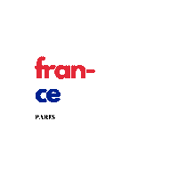 dnkktn paris france redblue laparis Sticker