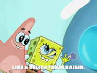 season 5 GIF by SpongeBob SquarePants