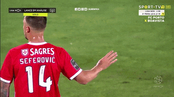 Sl Benfica Slbgif GIF by Sport Lisboa e Benfica